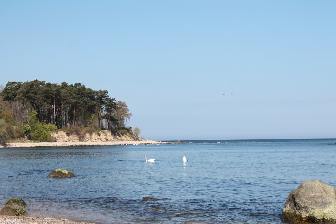 Появилось время и дотянулись руки написать отзыв.