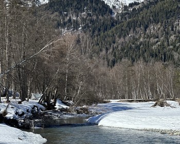 Конная прогулка и ферма альпак