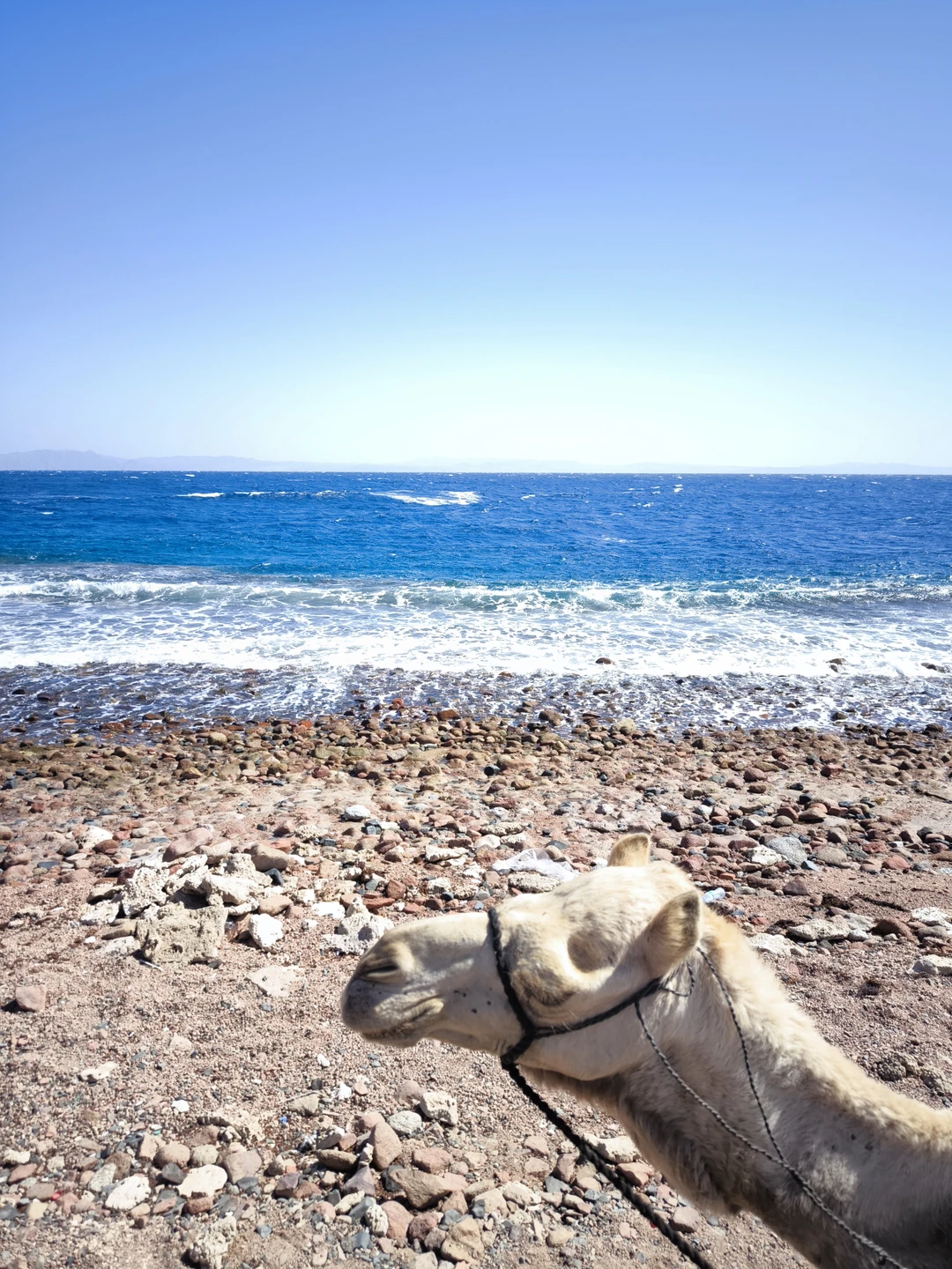 Экскурсия отличная, разнообразная, лёгкая, органичная. Каньон - удивительный, дорога до него живописная, место для снорклинга -