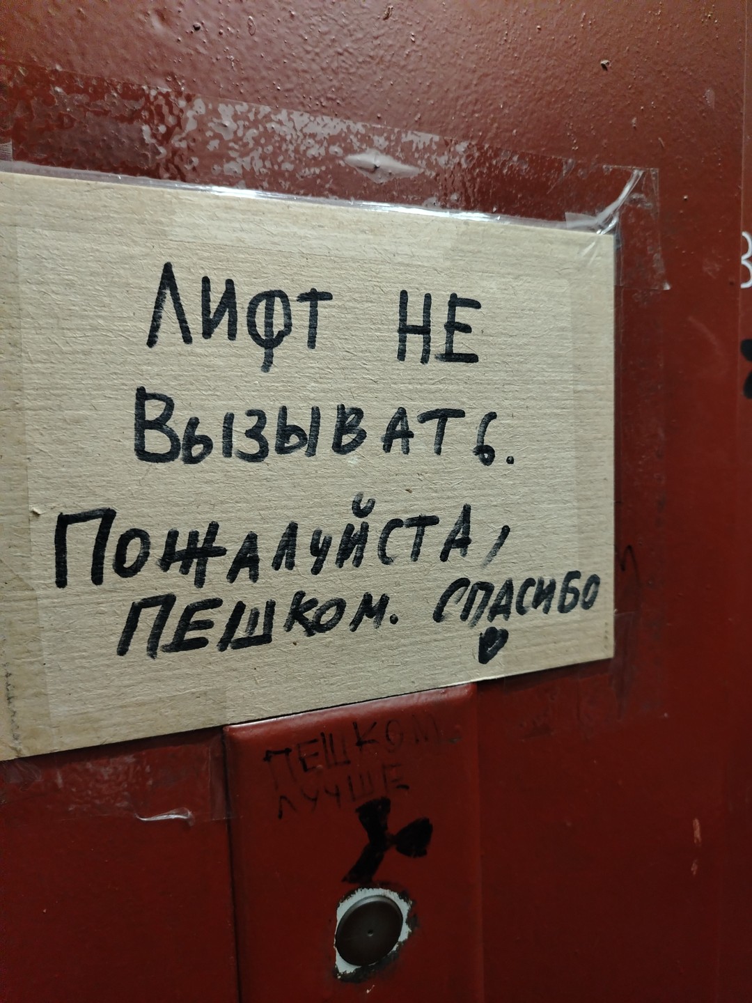 Питер романтиков: дворы, парадные и виды с крыши (Ольга)