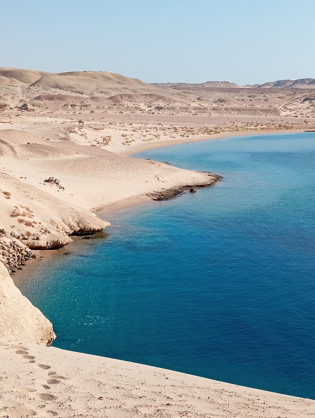 Путешествие в заповедник Рас-Мохаммед (Оксана)