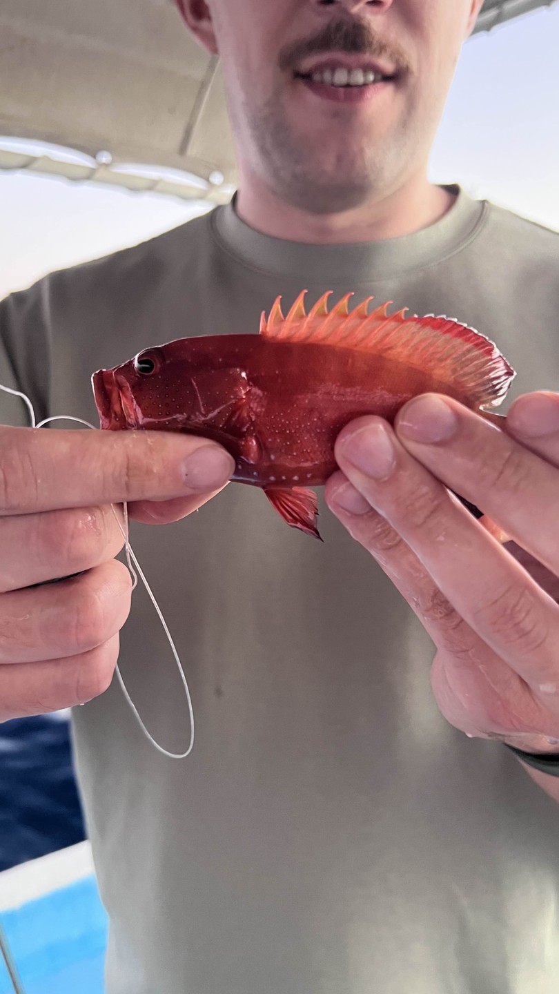 Спасибо Валиду за прекрасную возможность увидеть Дахаб и попробовать себя в рыбалке! Очень красивое место, комфортная