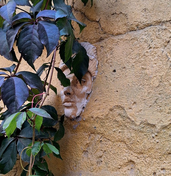 Город как холст: в поисках самарского стрит-арта