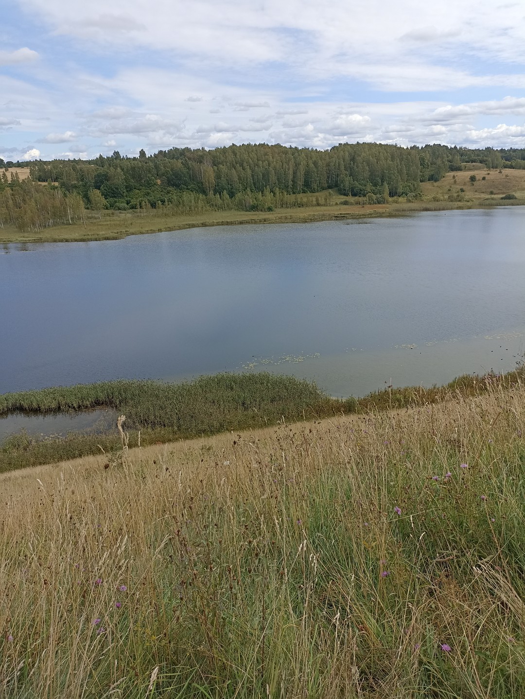 Древняя Русь без тоски: Изборск (Любовь)