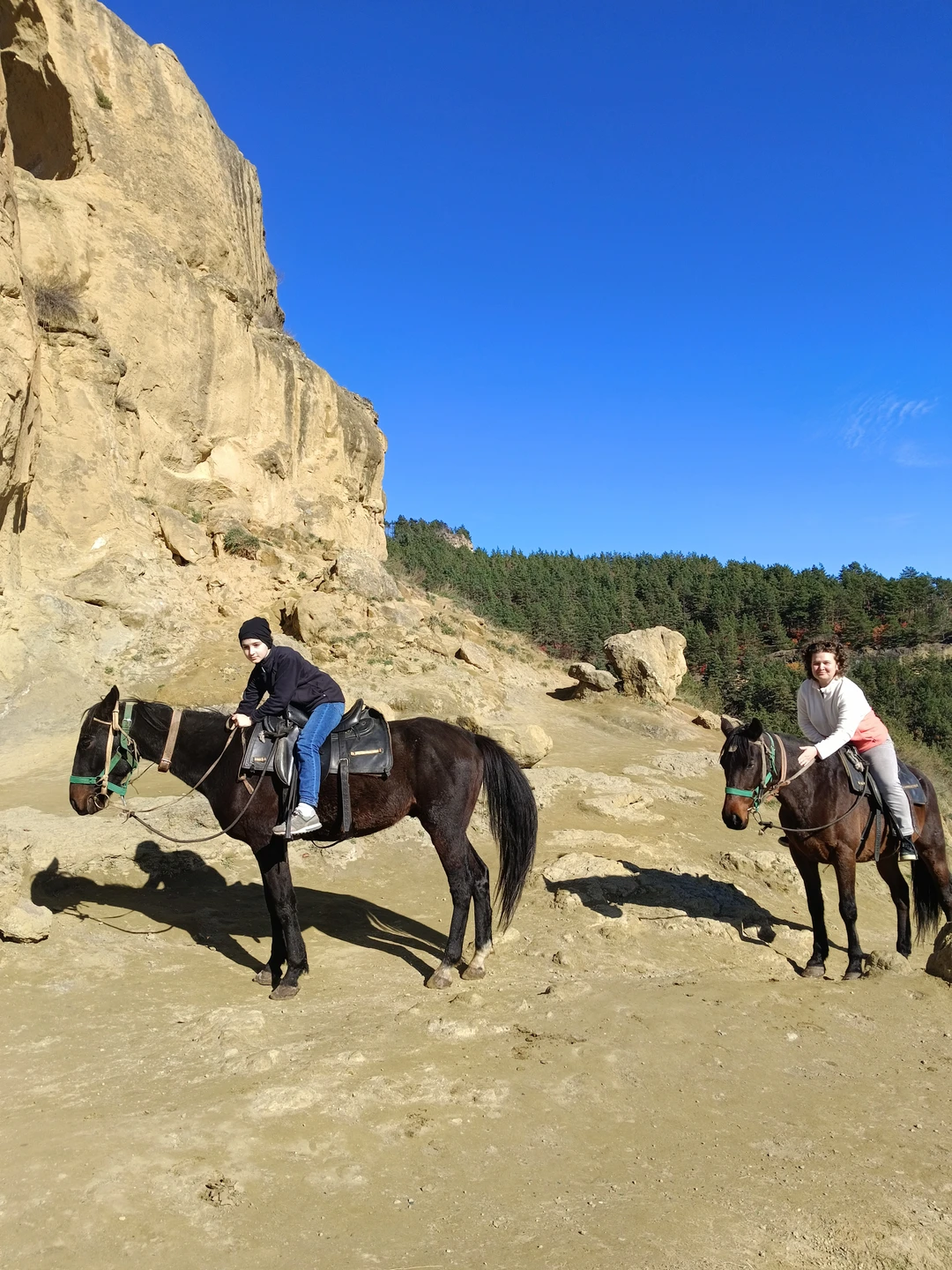 Спасибо за красивую прогулку. Сын очень доволен. Лошади спокойны и легко управляемы