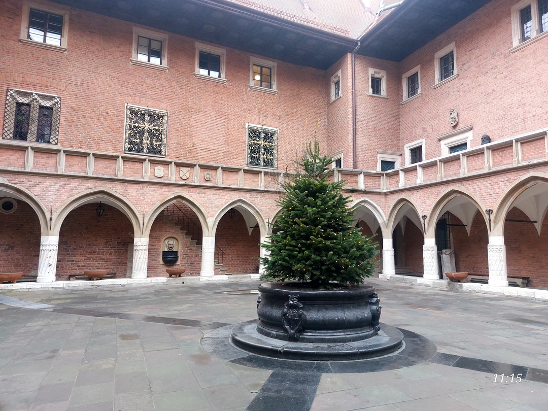 Все было прекрасно,кроме ыорс мажера,что нам перенесли экскурсии на утро следующего дня