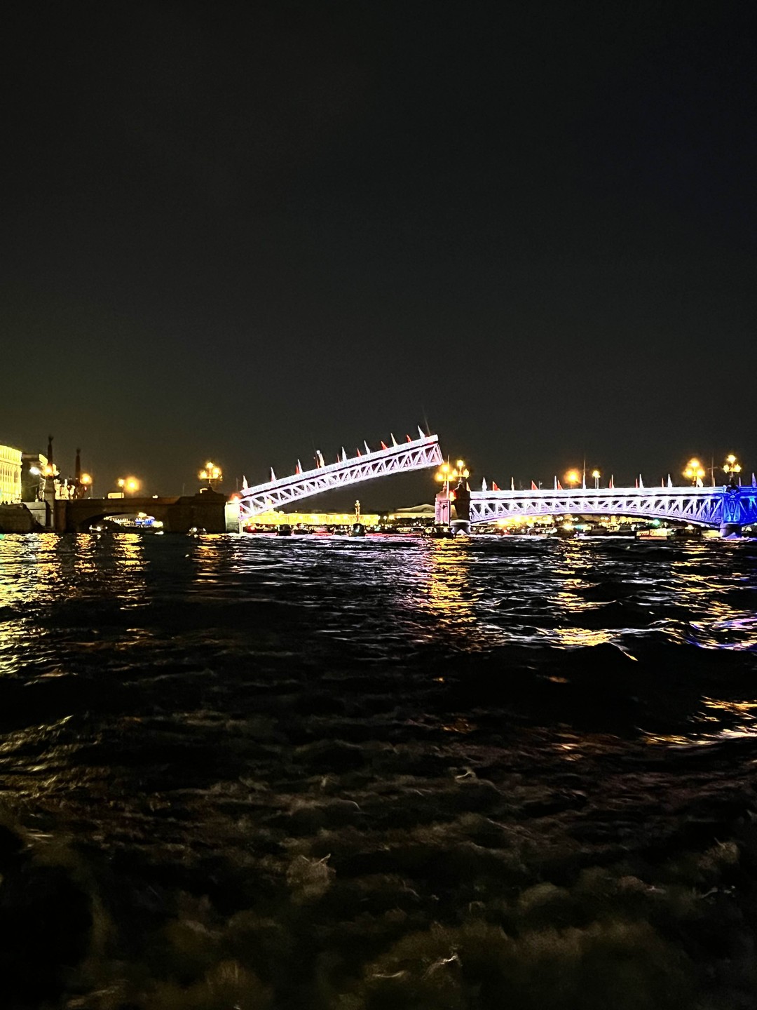 Прогулка на катере на развод мостов (Ольга)
