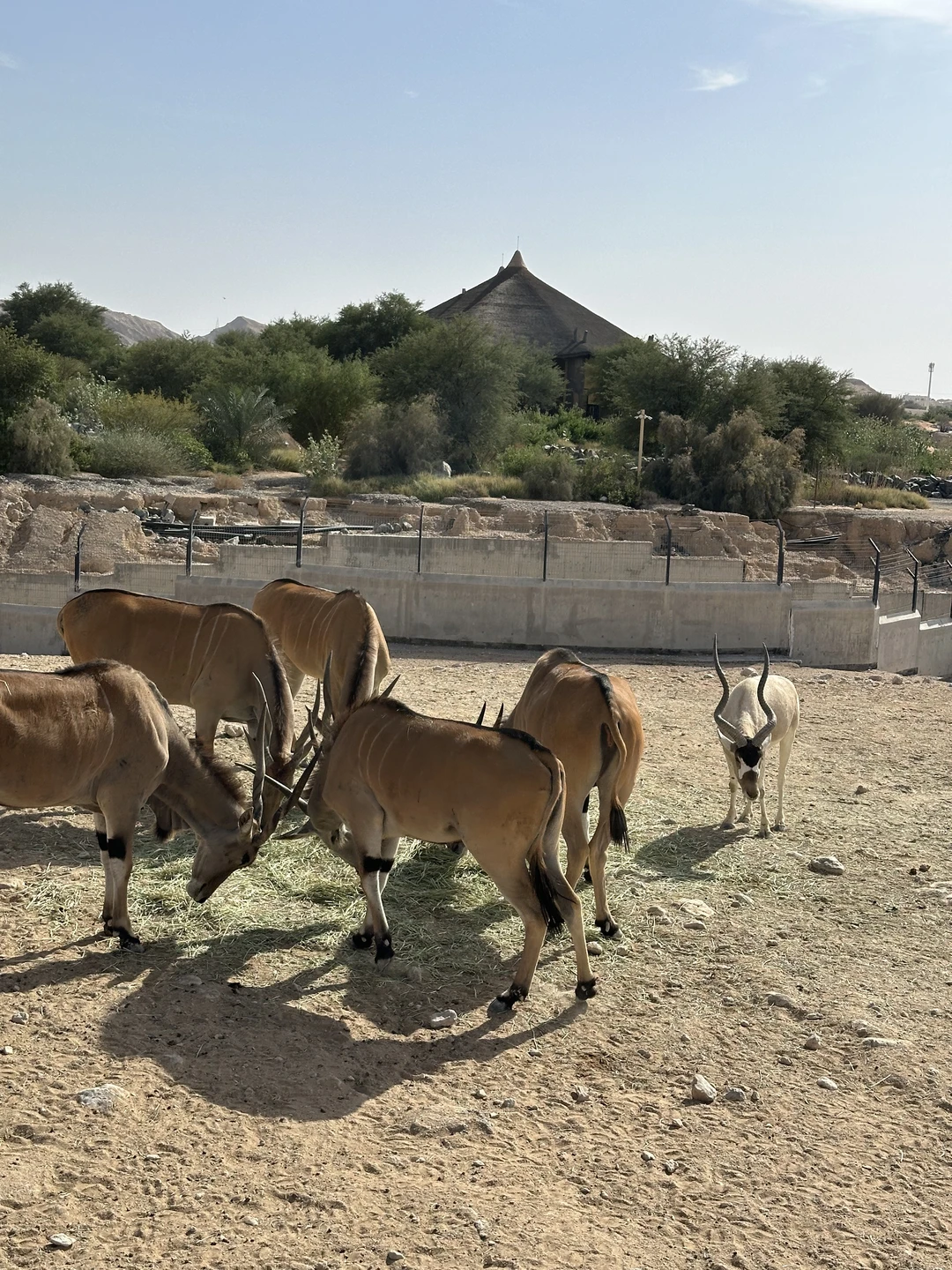 Отличное путешествие для тех, кому приелись мегаполисы