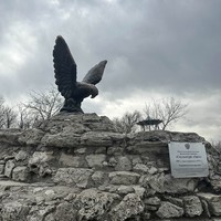 reviews img