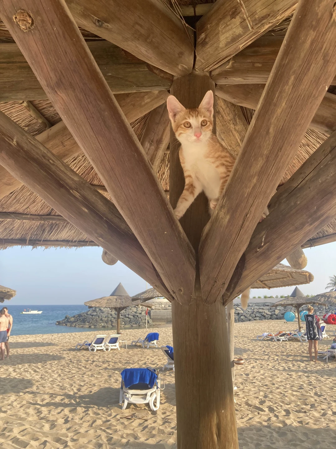 Отличный гид, большое спасибо! И программа - то что надо на весь день, не умотались. В