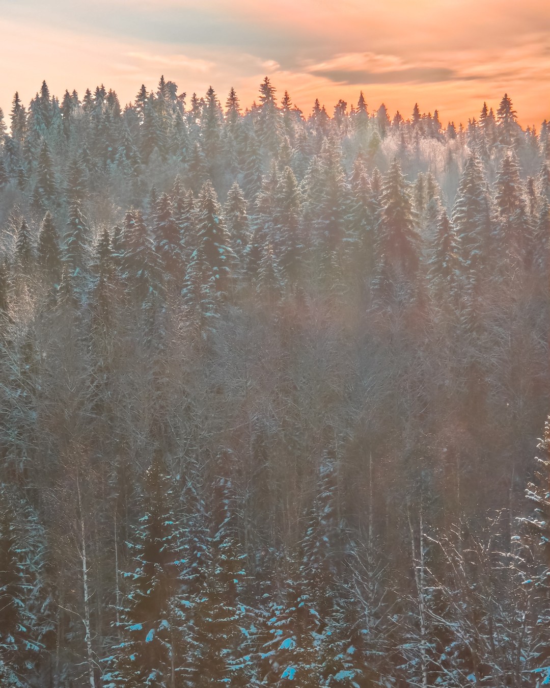 Карелия из Санкт-Петербурга: водопады, Рускеала и тот самый ретропоезд (Владимир)