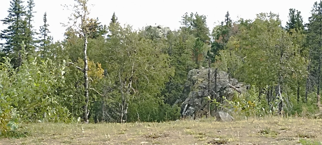 Большое спасибо за замечательное путешествие! Было очень интересно, узнала много нового. Удачно построен маршрут, очень разнообразен