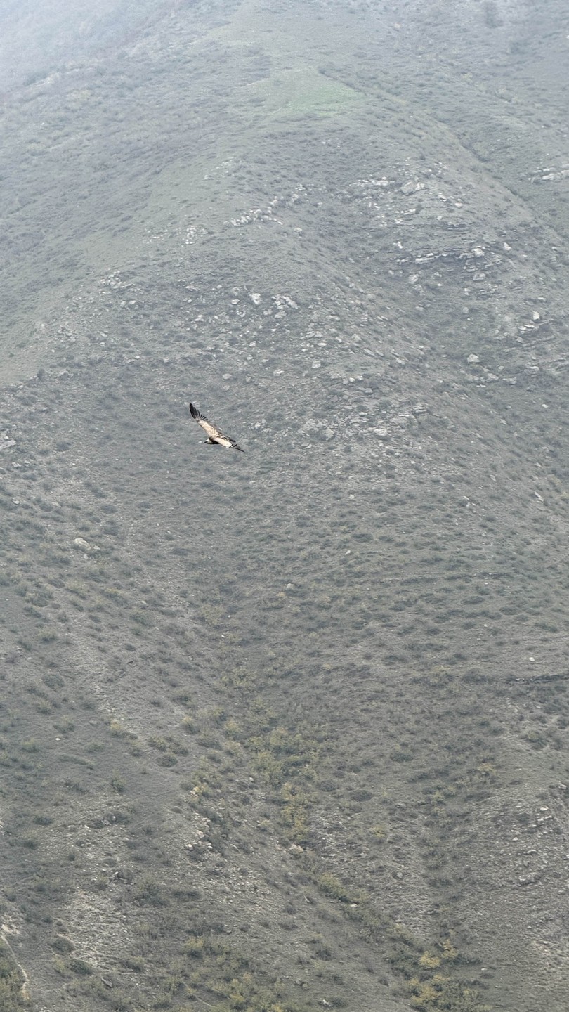 Сулакский каньон - всё включено (Марина)