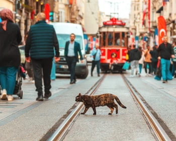 Главные достопримечательности Стамбула
