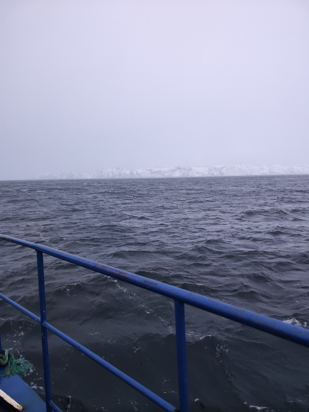 Хорошая и организованная прогулка. Была возможность погреться в каюте. Наблюдали красивые виды.