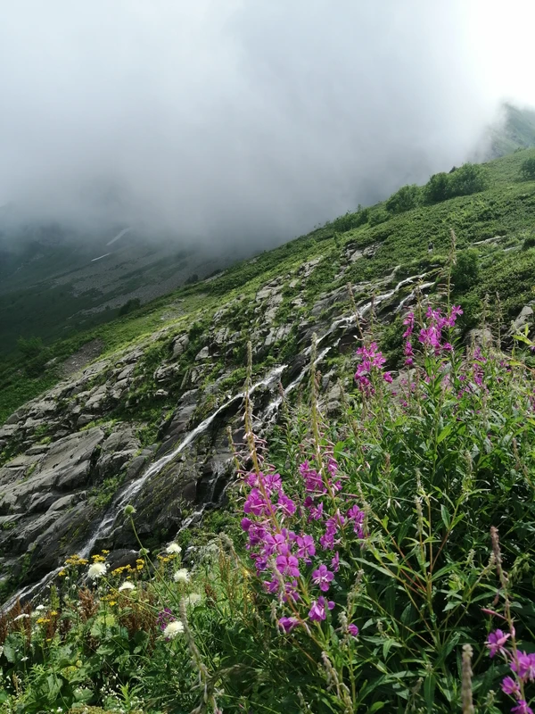 «Красная Поляна»: обзорная экскурсия
