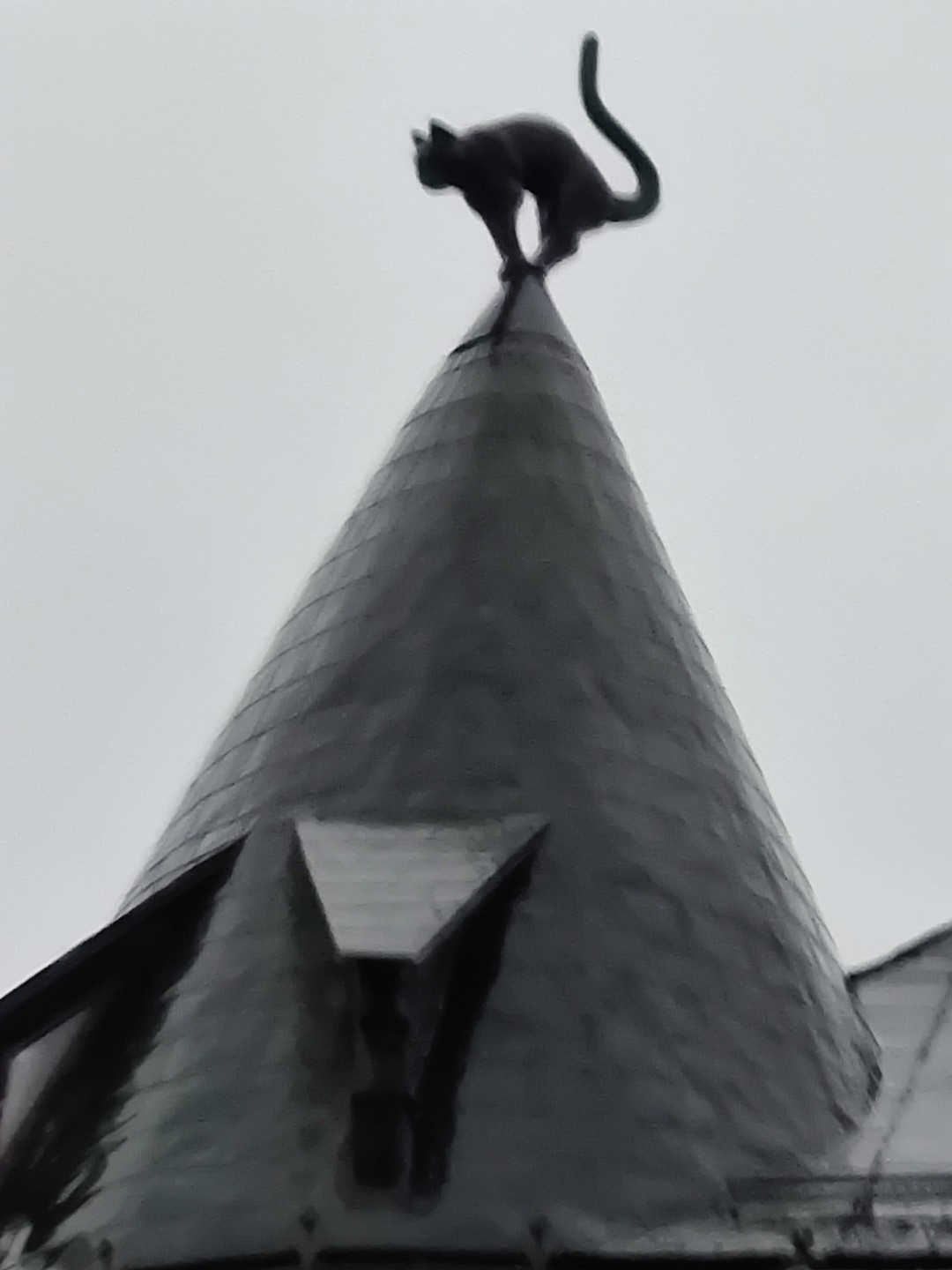 Лия прекрасный знающий гид. Очень важно даже в дождливый день когда многие отменяли экскурсии она пришла