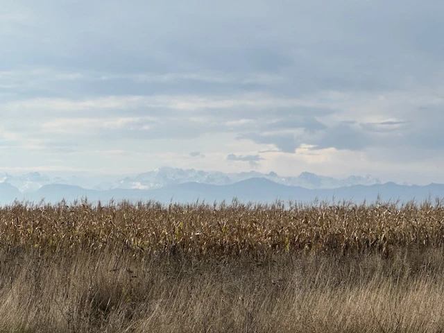 19 октября посетили город Грозный с Дмитрием. Мы оговорили очень нестандартную программу поездки, Дмитрий учел наши