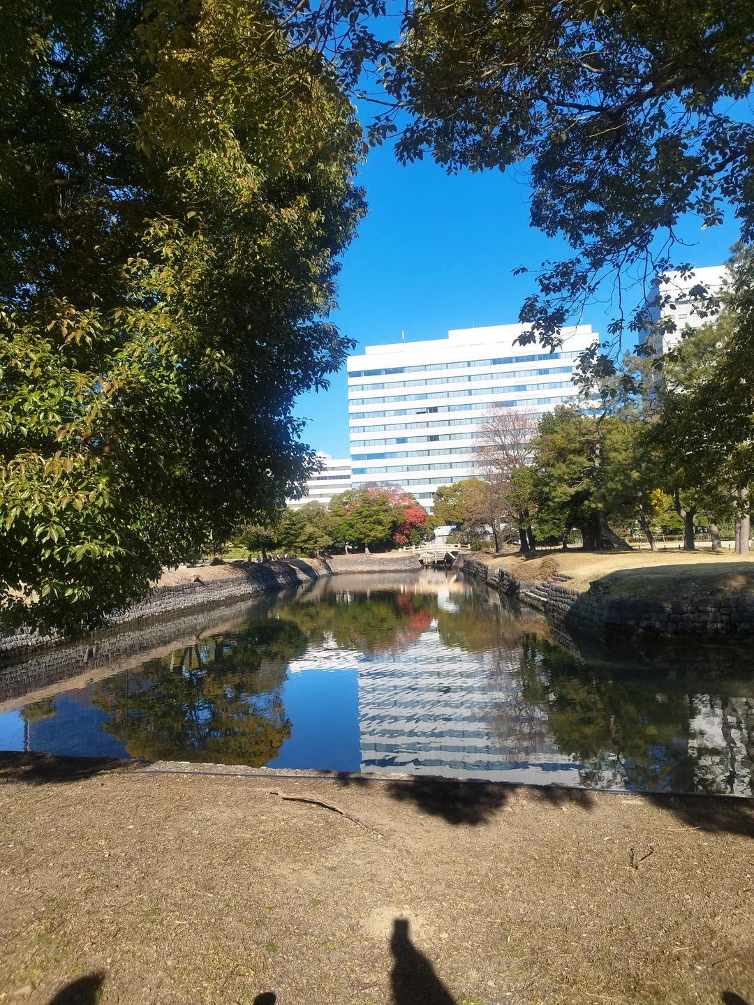 Прекрасно провели время. Елена великолепно знает материал, в доступной форме доносит информацию. Маршрут составлен очень удобно