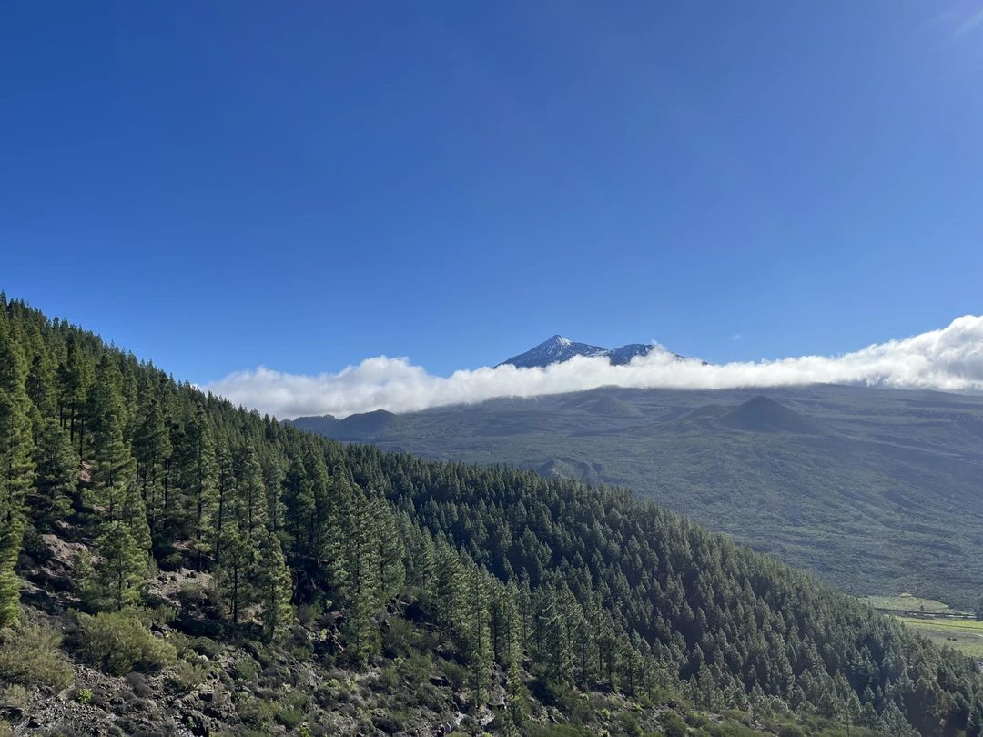 Лучше гор могут быть только горы! Сегодня мы убедились в этом, побывав на экскурсии с Евгением