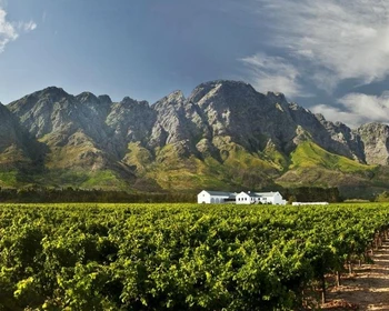 Регион Стелленбош, школа пинотажа и практика выбора блюд