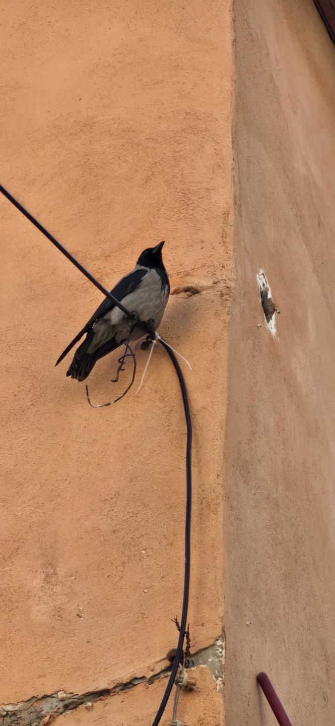 Благодарим за интересную экскурсию. Мы думали что Старый Яффо мы уже знаем, не первый раз в