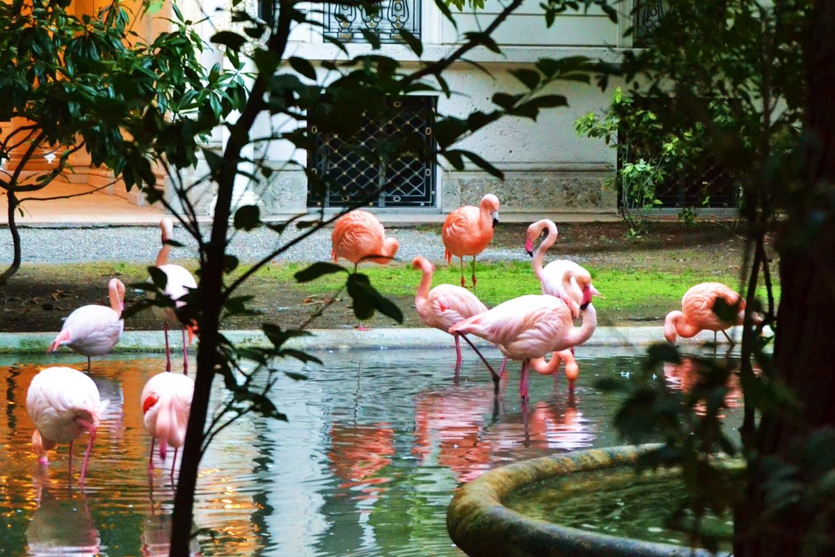 Милан в стиле модерн (4/7)