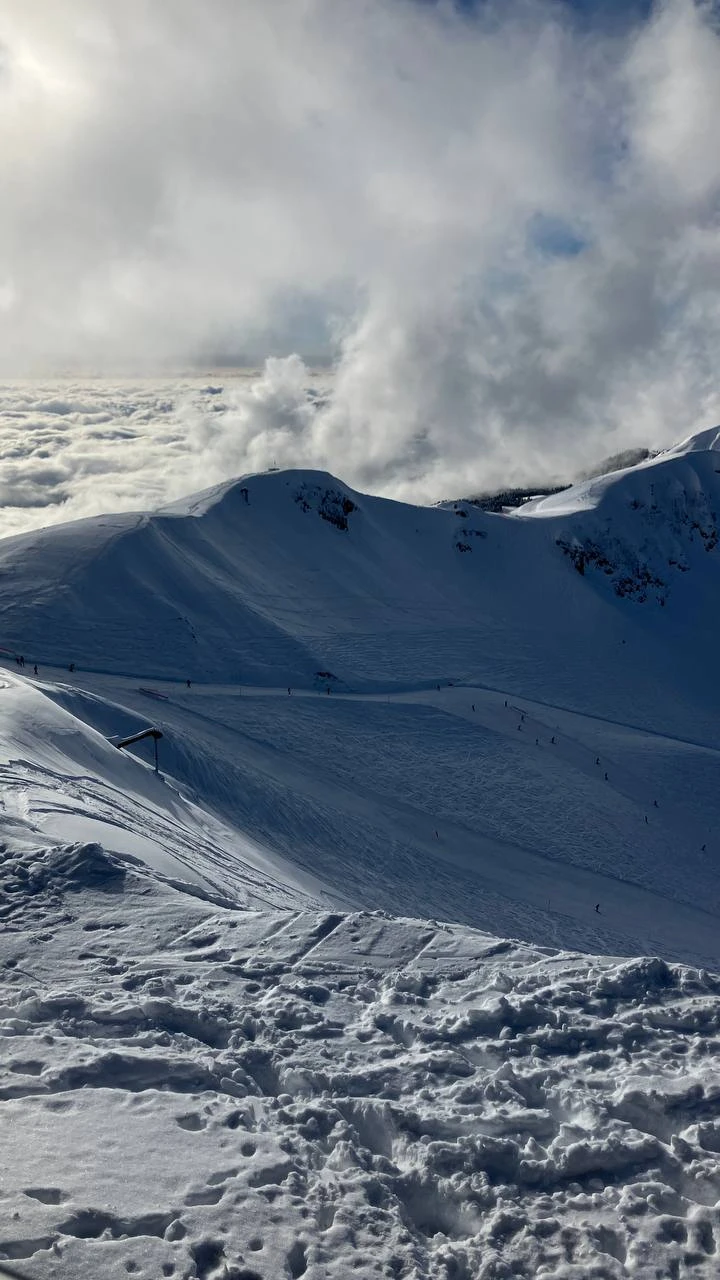 Замечательная экскурсия. Был водитель Саркис и гид Вероника. Саркис плавно водил машину, Вероника всё приятно доступно