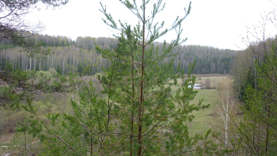 Очень хорошая и познавательная экскурсия, даже дождь в дороге не стал помехой