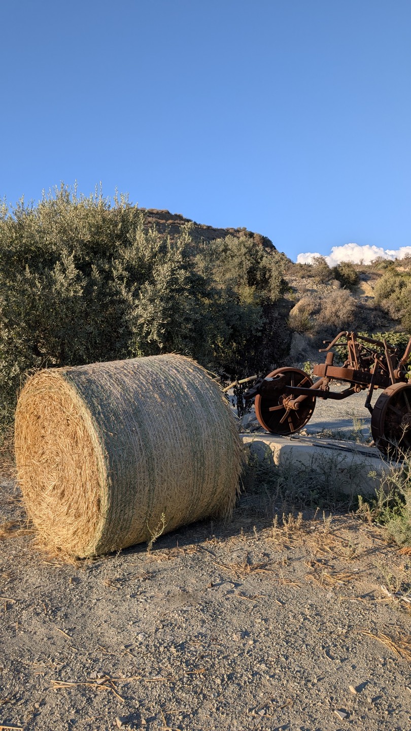 Несколько месяцев прошло с нашей поездки на Кипр, до сих пор пересматриваем видео от Ксении, которое