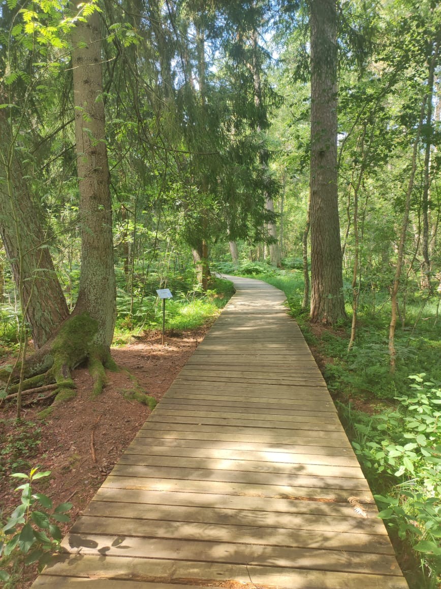 Куршская коса в вашем ритме (Юлия)