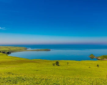 Бухта Дельфин, загадочные бухты и обед на побережье