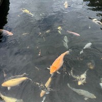 Фото отзыва 1: экскурсия "Путешествие по Восточному Бали"