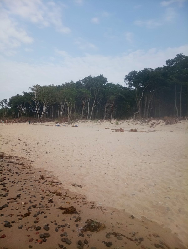 Виды Дом куршей — Куршская коса