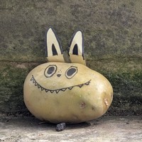 reviews img