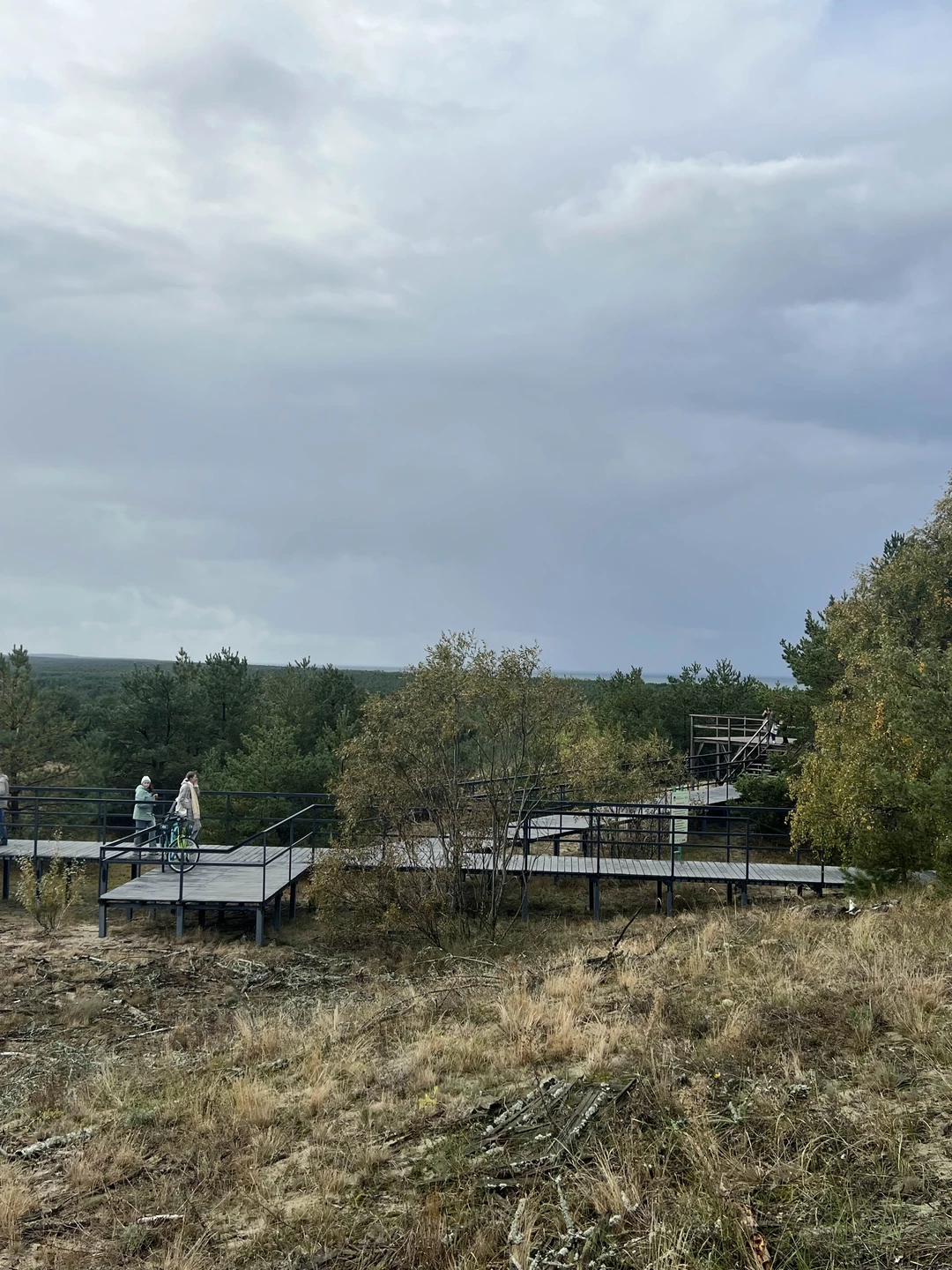 На Куршскую косу с опытным гидом - из Калининграда (Марина)