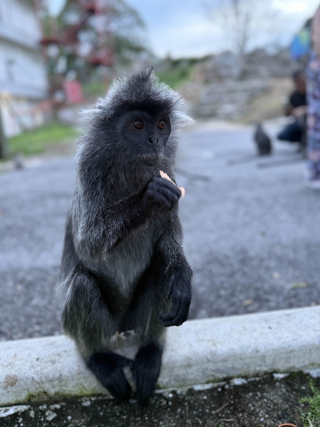 Гид был Дмитрий, который с удовольствием отвечал на вопросы, показывал достопримечательности и рассказывал истории как свои