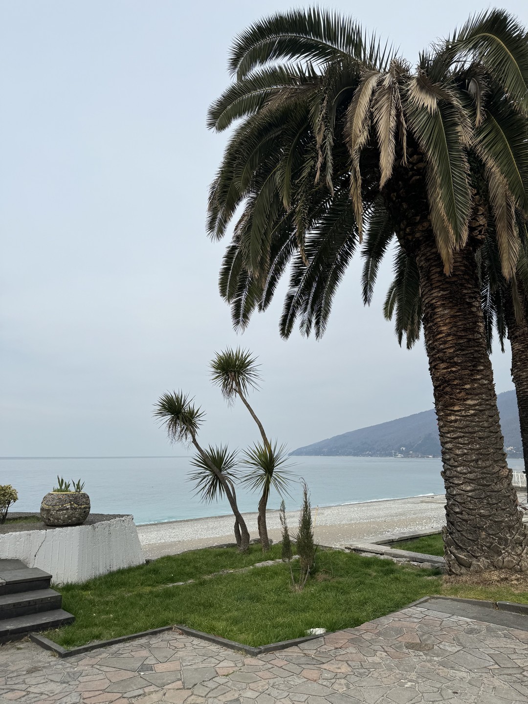 Чары Абхазии (из Сочи) (Анастасия)