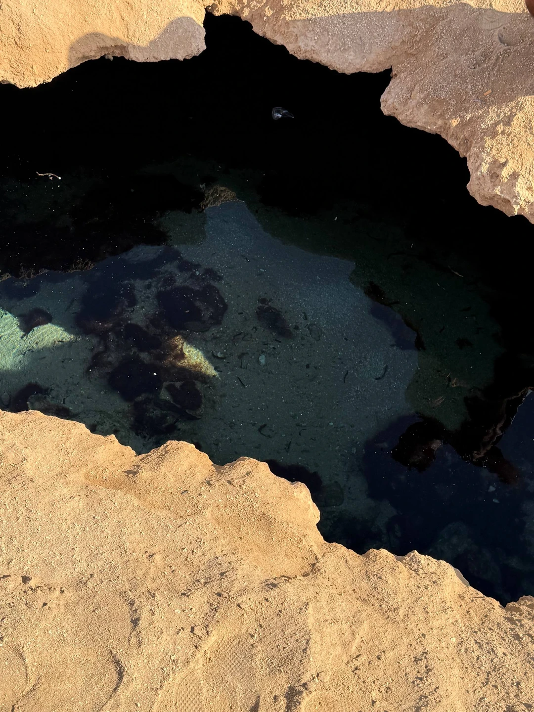 Мы побывали на экскурсии в заповедник Рас-Мохаммед, и остались в полном восторге! Организация была на высшем