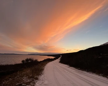 Поной - Сосновка - Никодимовский маяк - Стрельна
