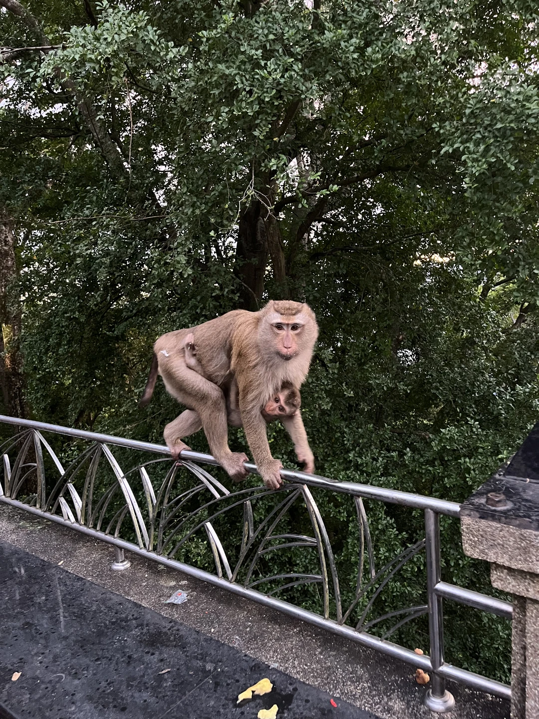 Благодарим вас за такую прекрасную экскурсию, отдельное спасибо гиду Владимиру ❤️