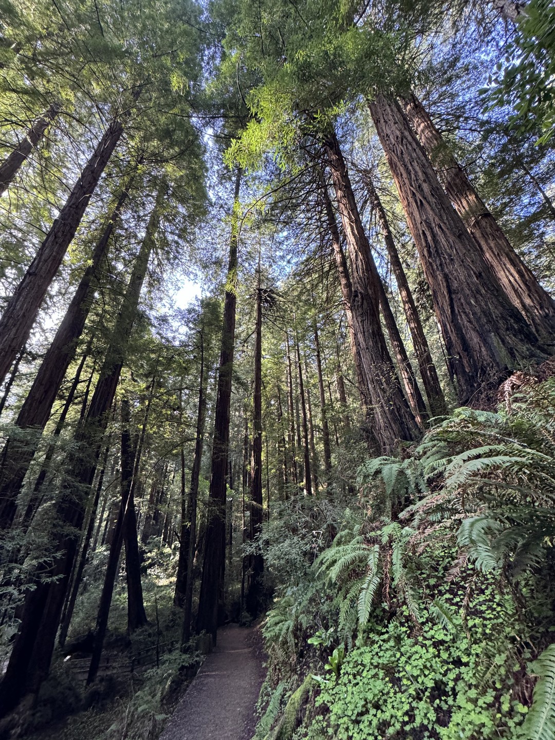 Все было прекрасно)) Лес удивительный, на винодельнях тоже очень понравилось, самое главное, много полезной и интересной