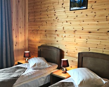 Прогулка по центру Иркутска, посещение Байкальского музея, подъём на Камень Черского