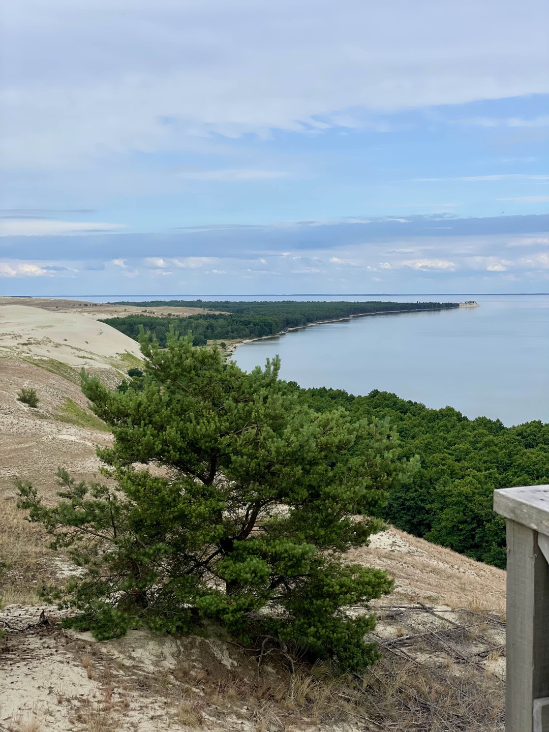 Куршская коса и Зеленоградск за 1 день (из Калининграда) (Мария)
