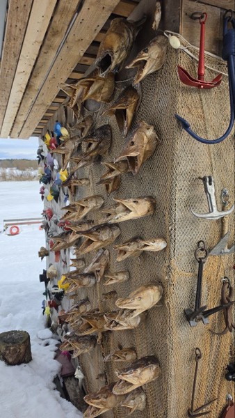 Огромное Спасибо Алексею за эту чудесную и интереснейшую экскурсию! наша большая и чудесная компания была приятно