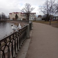 reviews img