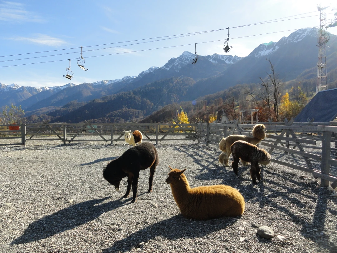 Очень понравилась экскурсия. Наталья интересный рассказчик, отвечала на все наши вопросы. Забрали нас от отеля и