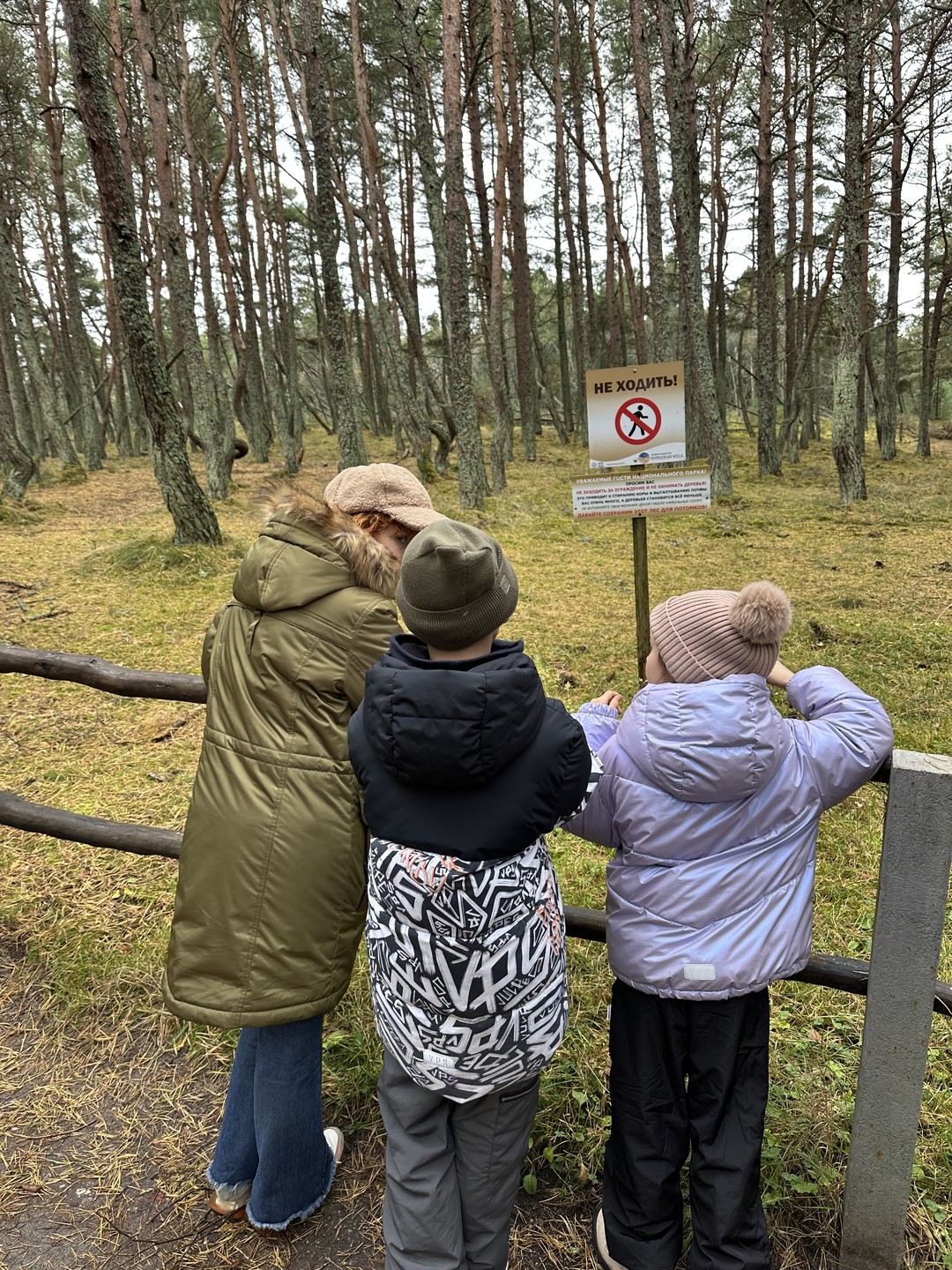 Куршская коса, Зеленоградск и замок Нессельбек - влюбиться за один день (Алсу)