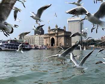 Колониальный базар, храм Сиддхивинаяк, фонтан Флора