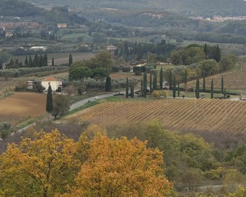 Кулинарный мастер-класс, винная дегустация, поиск трюфелей